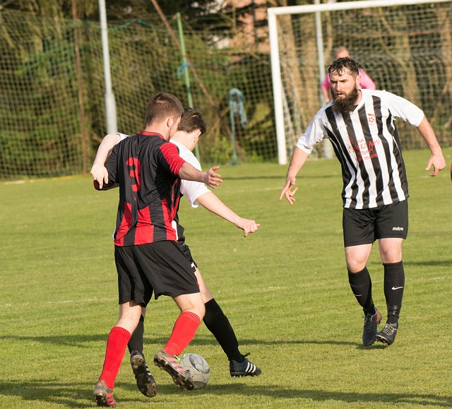 拉莫斯交换 拉莫斯交换