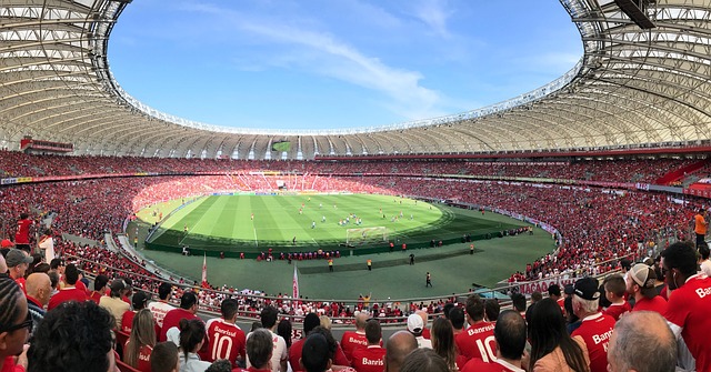 培养并推向