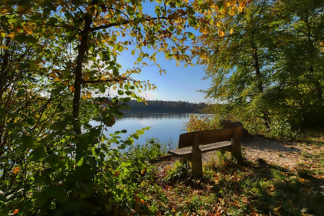 他不仅需要 他不仅需要