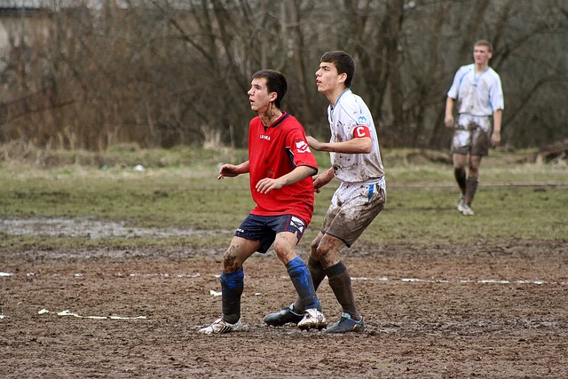 同时也促进 同时也促进