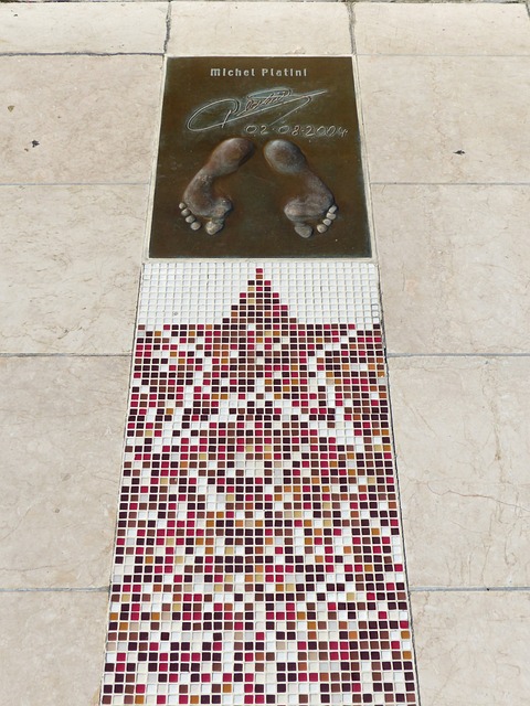 刘子阳备受 刘子阳备受