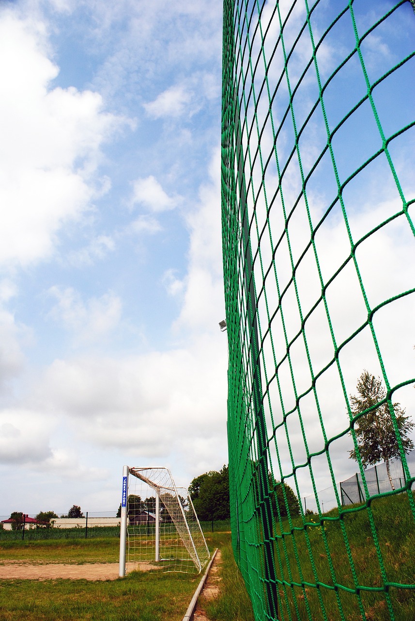 更是展示體 更是展示體