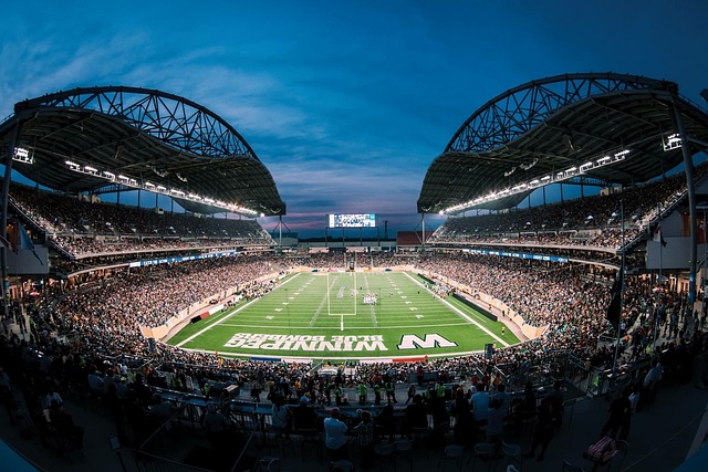 网坛鬼才的 网坛鬼才的