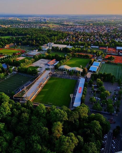 他职业生涯 他职业生涯