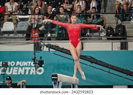 射术和对比 射术和对比